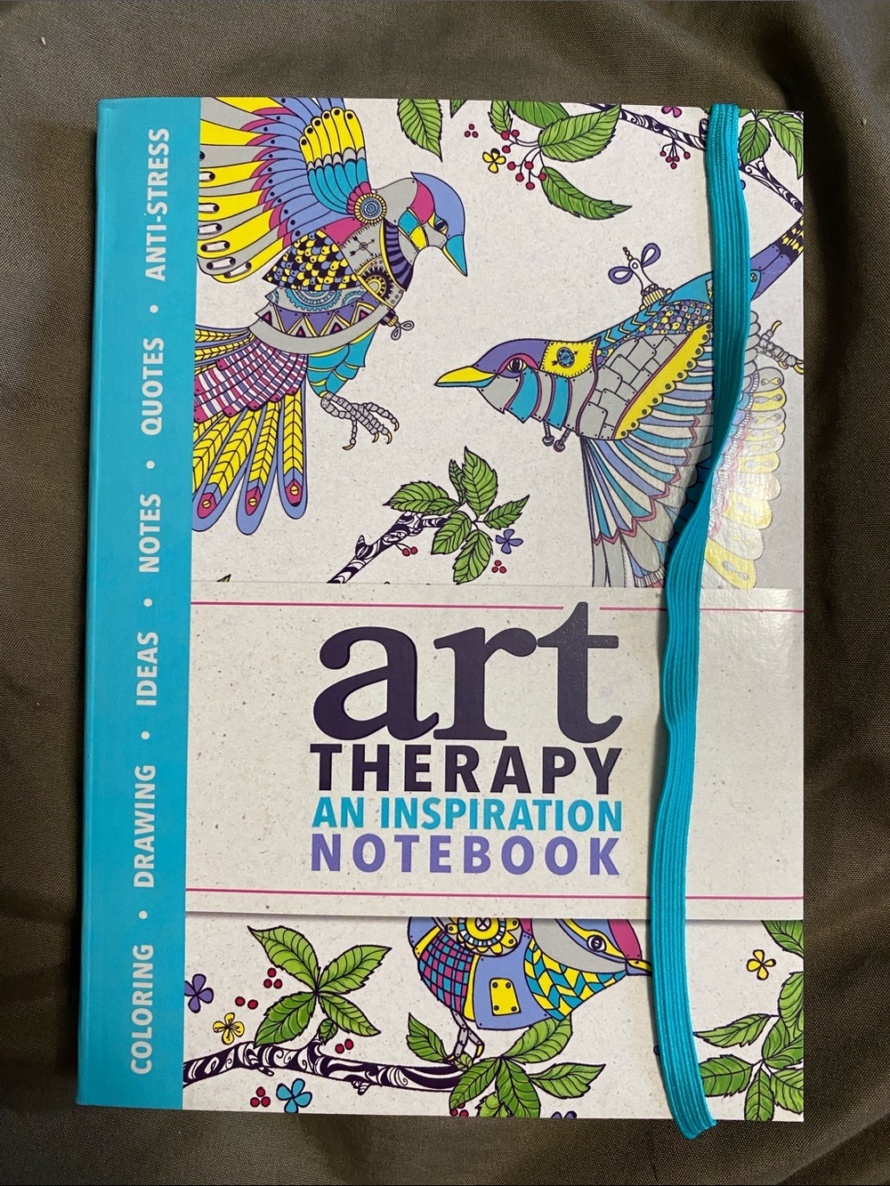 Icing Multicolor Art Therapy An Inspiration Notebook with Teal Accent